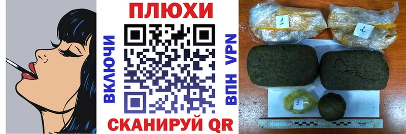 где можно купить наркотик  Наволоки  Гашиш индика сатива 