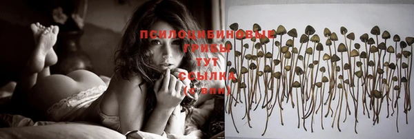 крисы Арсеньев