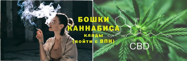 крисы Арсеньев