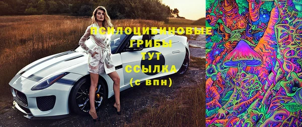 гидропоника Армянск