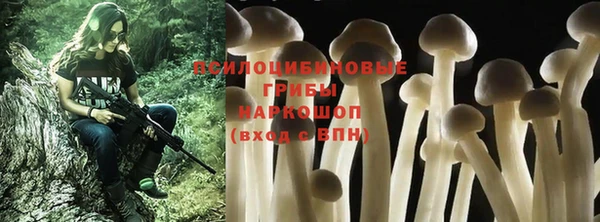 мет Аркадак